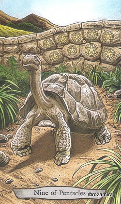 Animal Totem Tarot